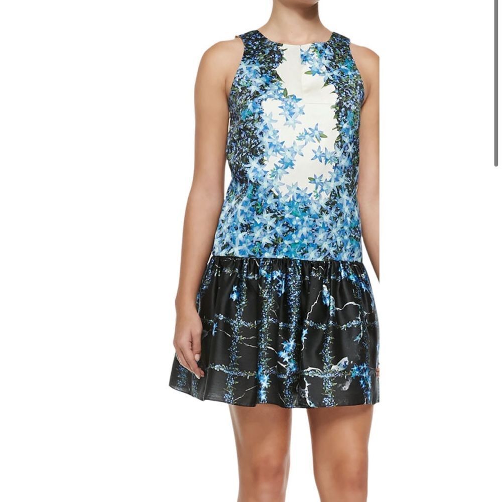 Tibi Sidewalk Floral Open Back Dropped-Waist Dress